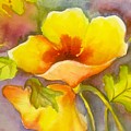 Yellow delight flower